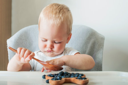 Blonde toddler boy eating Yummy blueberries on highchair close-up and copy space.