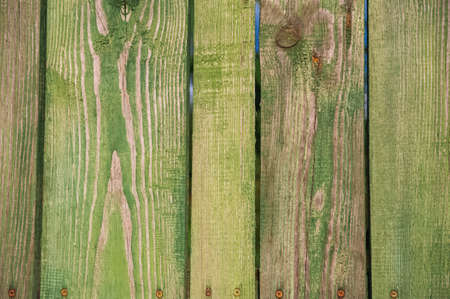 Green old wood texture background.. Selective focus.の写真素材