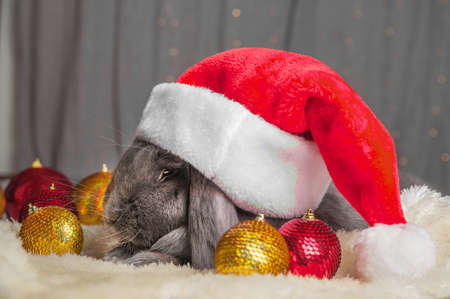Happy new year 2023 background. Rabbit and Christmas balls with gifts. New year holidays card...