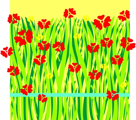 Bouquet of poppies のイラスト素材