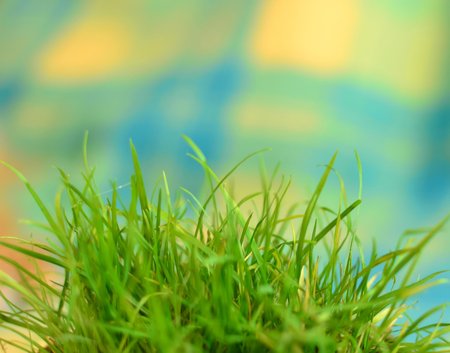 Juicy bright grass. Abstract natural background.