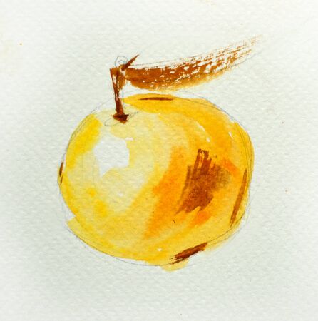 Watercolor illustration of bright yellow apple.の写真素材