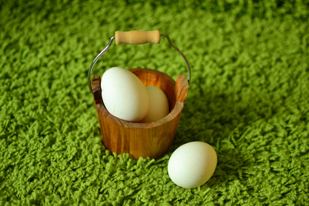 White eggs on the green grass.の写真素材