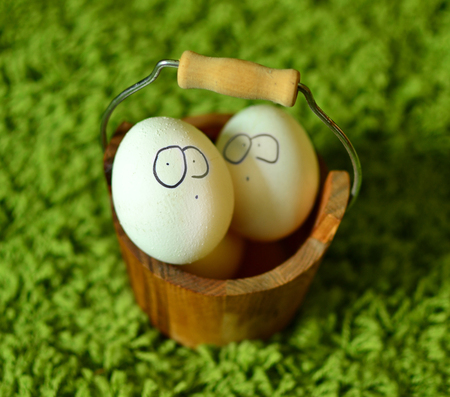 Funny easter eggs on a green grass.の写真素材