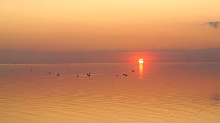 Beautiful sunset at the sea. の写真素材