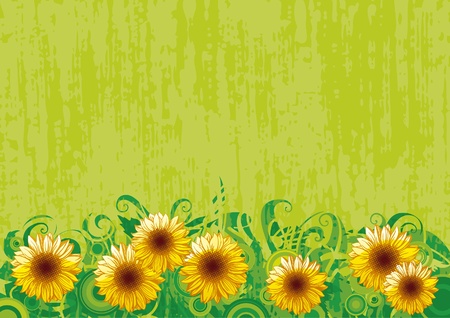 border with Sunflowers on green grunge backgroundのイラスト素材