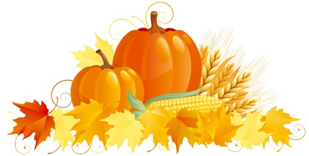 Autumn Harvest. Vector group of vegetables isolated on white background.のイラスト素材