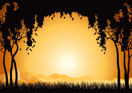 Sunset  landscape  Vector  silhouette  of  many  trees  and grass at sky with sun and sunbeam のイラスト素材