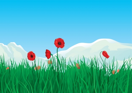 Spring at mountains  Red spring poppies and green grass on background with mountains のイラスト素材