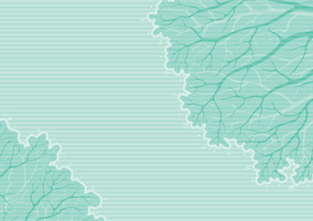 Winter trees. Vector  winter bacground with many tree branches. のイラスト素材