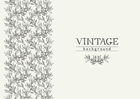 Vintage black and white background. Vector ornate  background with laurel leaves at engraving style.のイラスト素材