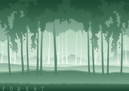Fog forest  illustration.のイラスト素材