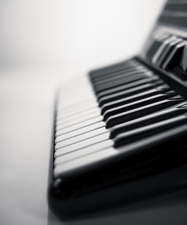 Accordion close-up