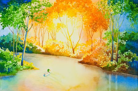 A mallard duck floating down a river, illuminated by the setting sun.  An original watercolor.の写真素材