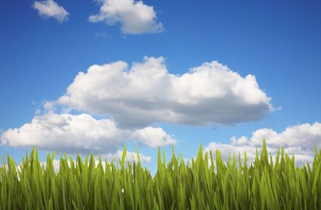 Lush green grass against a cloudy, blue sky.の写真素材