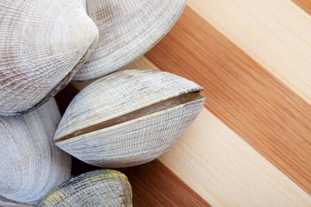 Live clams on a cutting board, ready to cook.  Focus on opening clam.  Shallow dof.の写真素材