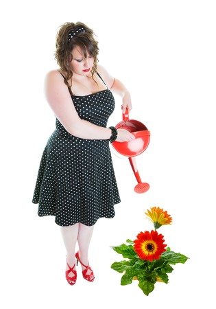 A successful gardener, dressed in pinup style, fertilizing a healthy, enormous gerbera daisy!  Shot on white background.の写真素材