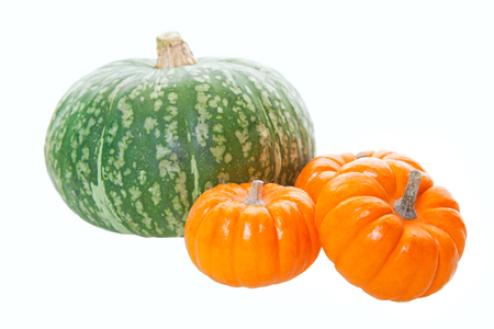 An arrangement of freshly harvested pumpkins and a large green squash.  Shot on white background.の写真素材