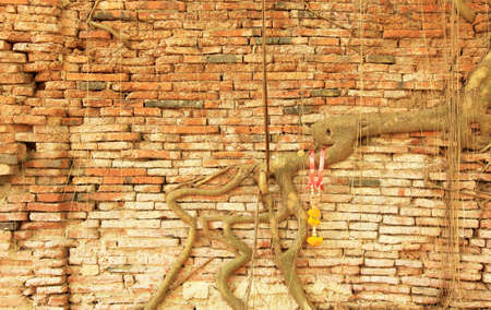 brick wall in old temple Thailandの写真素材