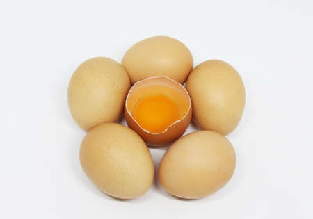 eggs on white backgroundの写真素材