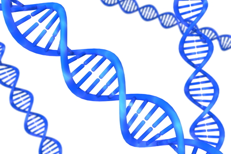 DNA in the white background.の写真素材