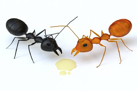 A black ant is confronted with an orange ant for the syrup.の写真素材