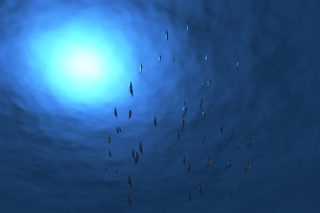 3D rendering image for the school of fish under the sea, design template for the fishing industry.の写真素材