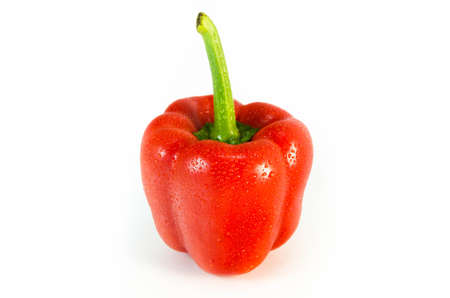 RED BELL PEPPER WITH WATER DROPLETS IN WHITE BACKGROUNDの写真素材
