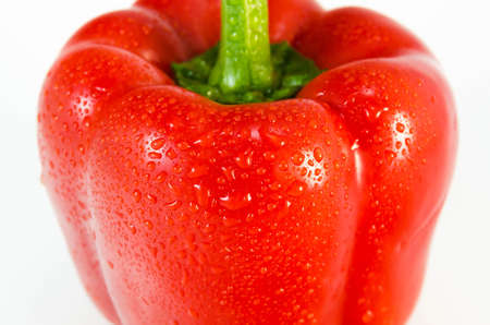 RED BELL PEPPER WITH WATER DROPLETS IN WHITE BACKGROUNDの写真素材