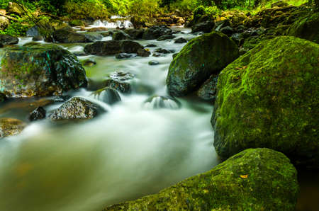 waterfall and moss in natureの写真素材