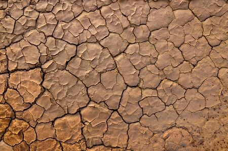 crack ground texture and background on summerの写真素材