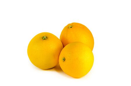 three orange on white backgroundの写真素材