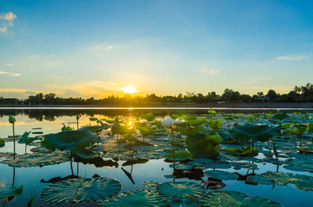 sunset on the lake backgroundの写真素材