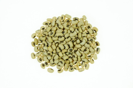 group of white bean on the white backgroundの写真素材