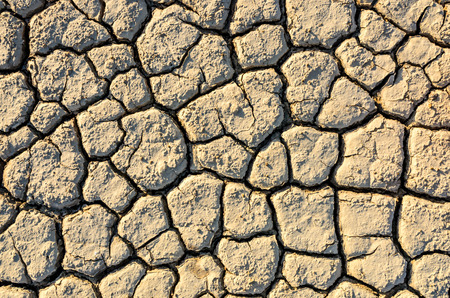 Crack ground texture background in dry land on summerの写真素材