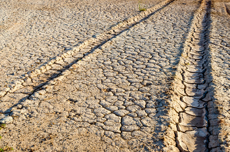 car tire track on dirt landの写真素材