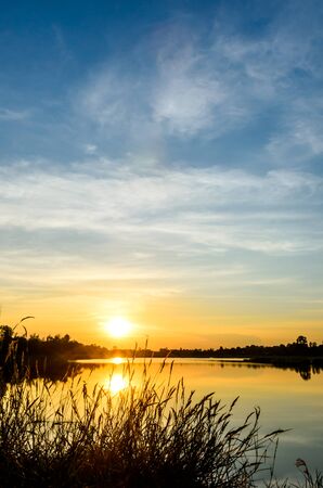 blue and orange sky from sunset on the lake with grass flowerの写真素材