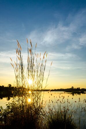 blue and orange sky from sunset on the lake with grass flowerの写真素材