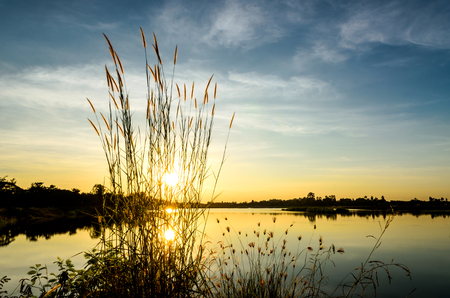 blue and orange sky from sunset on the lake with grass flowerの写真素材