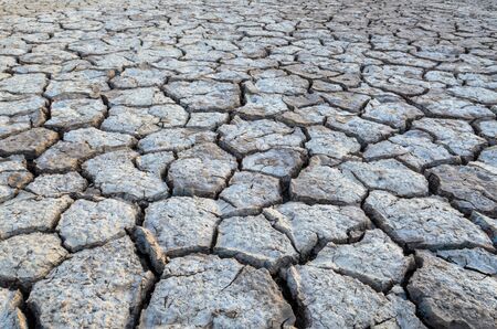 Crack ground texture background in dry land on summerの写真素材