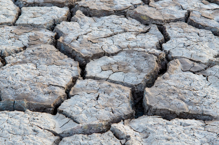 Crack ground texture background in dry land on summerの写真素材