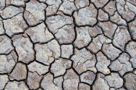 Crack ground texture background in dry land on summerの写真素材