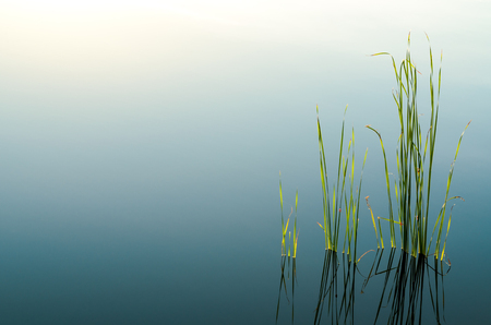 Blue smooth abstract background with shining light from water reflectionの写真素材