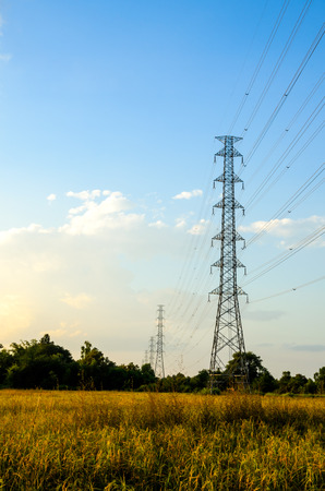 electricity post in daylight and blue skyの写真素材