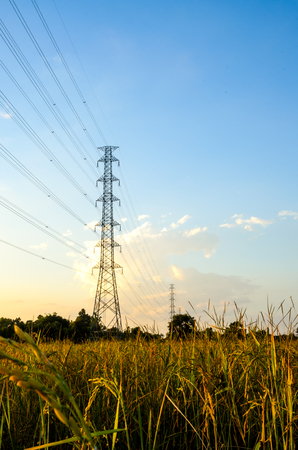 electricity post in daylight and blue skyの写真素材