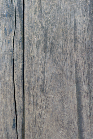 Old fir wood wall background knots holes. Striped pattern textureの写真素材