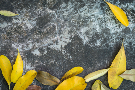 Old cracked concrete vintage brick wall background  vintageの写真素材