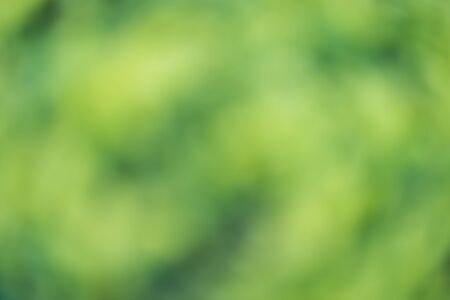 yellow and green smooth abstract background with shining light from water reflectionの写真素材