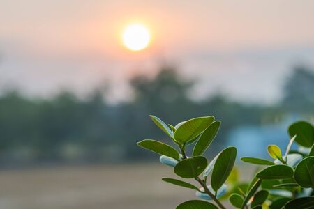 abstract orange background from sunset, blurredの写真素材