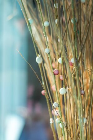 Beautiful dry flowers in a vase romantic moodの写真素材